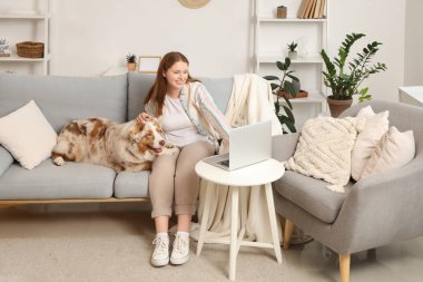 Şirin bir Avustralya çoban köpeği ve dizüstü bilgisayarı olan genç bir kadın evdeki kanepede oturuyor.