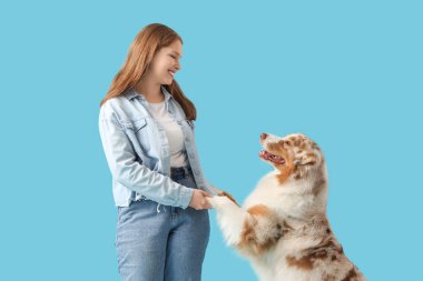 Genç bir kadın mavi arka planda Avustralya çoban köpeğinin patilerini tutuyor.