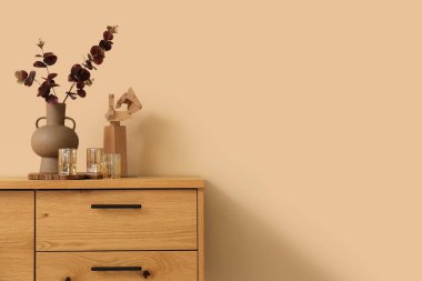 Yapay okaliptüs dallı vazo ve bej duvarın yanındaki klozette ahşap el.