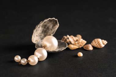 Siyah arka planda güzel küpeleri olan kabuklar.