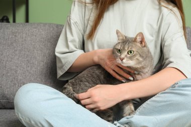 Evdeki kanepede sevimli gri kedisi olan genç bir kadın.