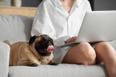 Köpekli genç bir kadın evdeki kanepede dizüstü bilgisayar kullanıyor.