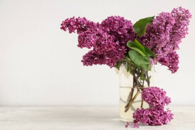 Beyaz arka planda çiçek açan cam vazo.