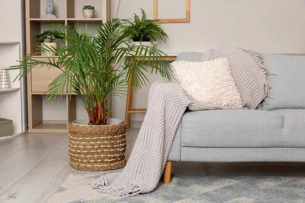 Oturma odasında yastıklı, ekoseli ve çiçekli kanepe.