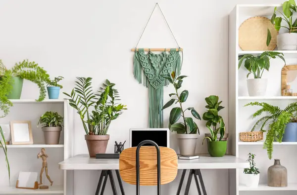 Interior of light office with workplace, shelf units and green houseplants