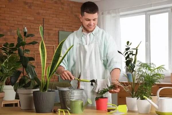 Genç yakışıklı adam odaya bitki naklediyor.