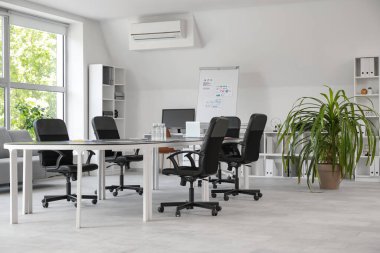 Masası, koltukları, raf ünitesi ve saksısı olan ışık konferans salonu.