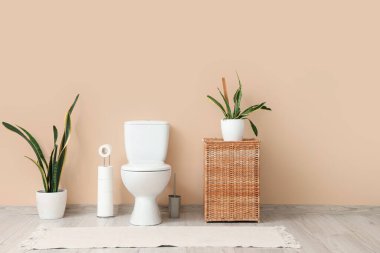 Tuvalet, sepet ve bej duvarın yanında bitkiler olan tuvaletin içinde.