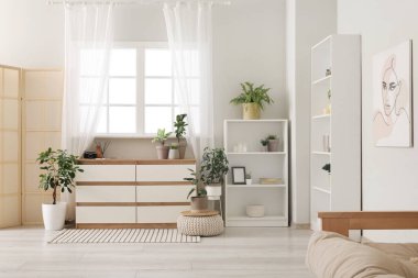 Ev bitkileri, pencere, raf ünitesi ve çekmeceleri olan modern bir oda.