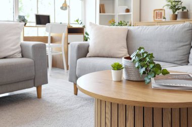 Oturma odasındaki kahve masasında şarjörlü yeşil bitkiler.