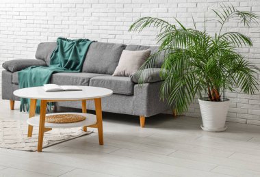 Kareli ve yastıklı rahat bir kanepe, oturma odasında kitap ve çiçekli bir sehpa.