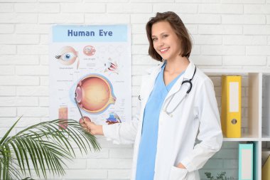 Klinikteki tıbbi afişe işaret eden güzel kadın doktor.