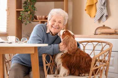 Üst düzey kadın yemek masasında yakışıklı şövalye Kral Charles spaniel köpeğiyle oturuyor.