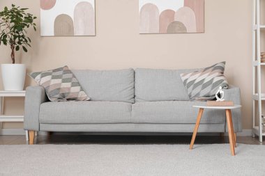 Gri kanepeli, çiçekli, sehpalı ve beyaz duvarlı modern oturma odasının içi.