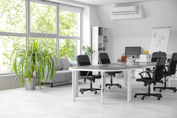 Büyük masası, koltukları, raf ünitesi ve saksısı olan ışık konferans salonu.