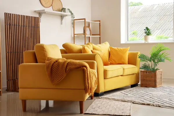 Rahat bir kanepe, oturma odasındaki sepetin içinde ekose ve çiçekli bir koltuk.