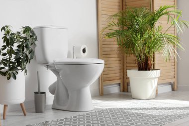 Tuvalet depoları, katlanan ekran ve beyaz duvarın yanındaki bitkiler.