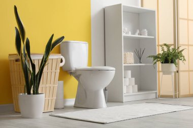 Tuvalet, çöp tenekesi, bitki ve raf ünitesi, sarı duvarın yanında.