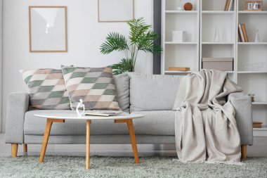 Kareli ve yastıklı rahat kanepe, sehpa, raflar ve oturma odasındaki çerçeveler.