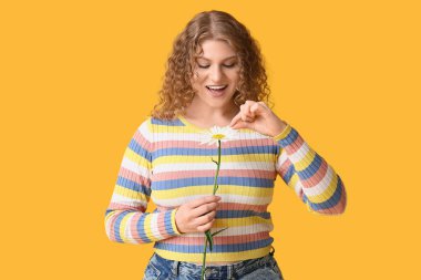 Sarı arka planda papatya çiçeği olan güzel genç bir kadın.