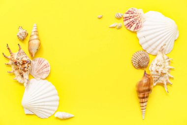 Sarı zemin üzerinde farklı deniz kabuklarından yapılmış çerçeve