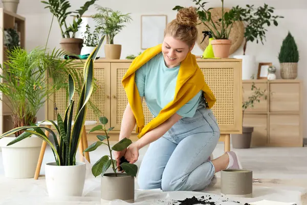 Evde yeşil bitkiyle ilgilenen genç bir kadın.