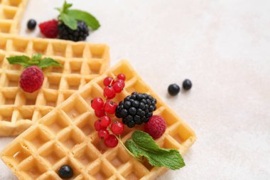 Farklı taze böğürtlenli Belçika waffle 'ları ve beyaz arka planda nane şekeri