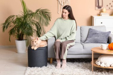 Evinde sevimli Maine Rakun kedisiyle kanepede oturan genç bir kadın.