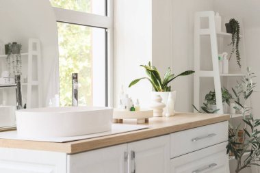 Kozmetik ürünlerle lavabo ve banyodaki tezgahlara bitki.