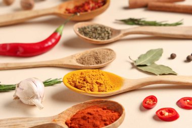 Renkli arka planda ahşap kaşıklarla taze aromatik baharatlar kompozisyonu