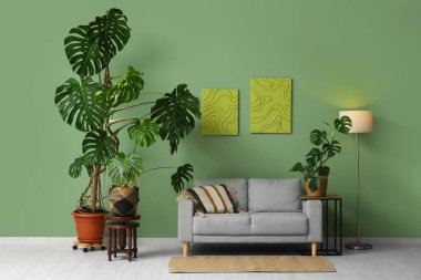 Canavar çiçekleri, parlayan lamba, sehpa ve kanepe yeşil duvarın yanında.