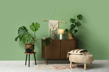 Canavar bitkisi, çekmeceler ve yeşil duvarın yanındaki yastıklı puf.