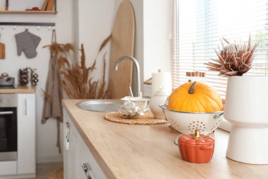 Mutfaktaki vazoda çiçek ve balkabağı var.