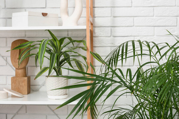 Rack with houseplant and statuettes near white brick wall in living room