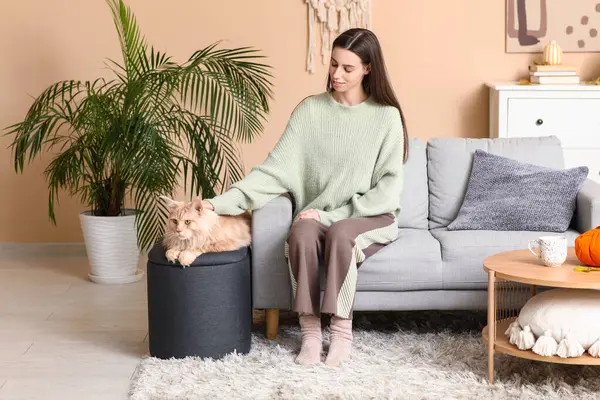 Evinde sevimli Maine Rakun kedisiyle kanepede oturan genç bir kadın.