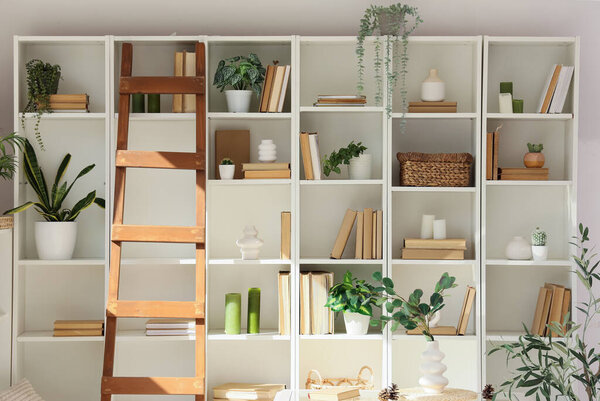 Interior of home library with shelving units with books, houseplant and ladder