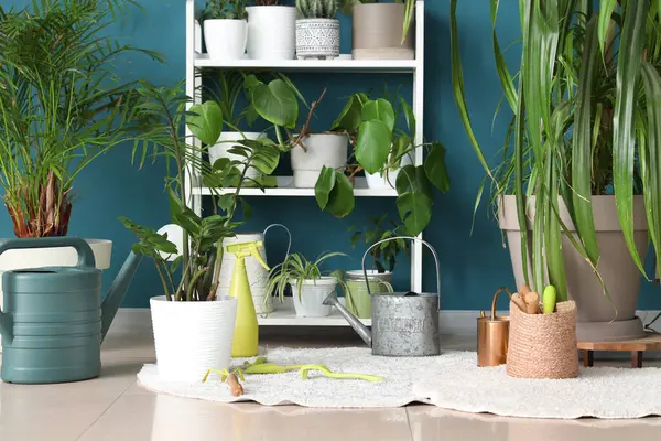 Odanın içinde raf ünitesi, bahçe aletleri ve bitkiler var.