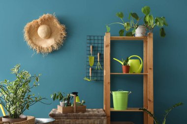 Raf ünitesi, bahçe aletleri ve mavi duvarın yanındaki bitkiler.