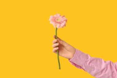 Sarı arka planda güzel papatyaları olan bir kadın.