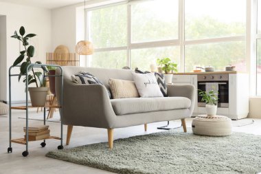 Kanepe, raf ünitesi ve bitkilerle aydınlık mutfak.