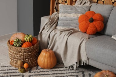 Oturma odasındaki gri kanepenin yanında farklı balkabakları ve mantarlarla dolu hasır sepet.