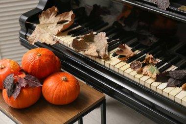 Piyanonun yanındaki kahve masasında sonbahar yapraklı taze balkabakları. Yakın çekim.