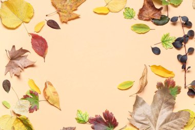 Renk arkaplanındaki farklı sonbahar yapraklarından yapılmış çerçeve