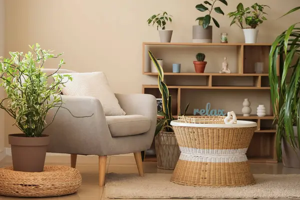 Oturma odası, koltuk, raf ünitesi ve yeşil bitkiler.