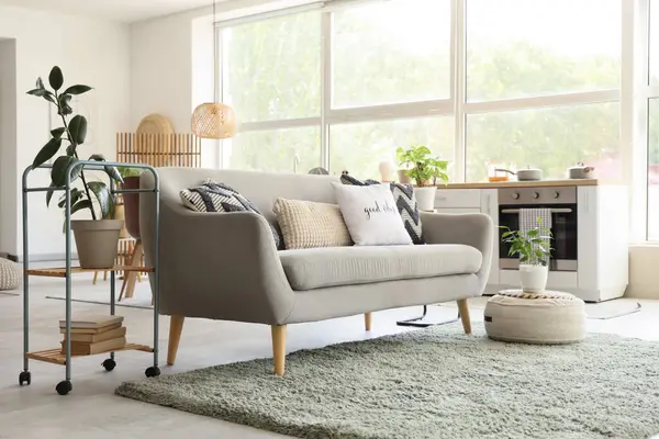 Kanepe, raf ünitesi ve bitkilerle aydınlık mutfak.