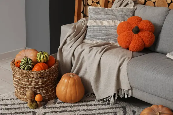 Oturma odasındaki gri kanepenin yanında farklı balkabakları ve mantarlarla dolu hasır sepet.