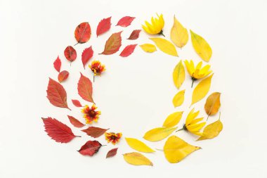 Sonbahar yapraklarından yapılmış çerçeve ve beyaz arka planda güzel çiçekler