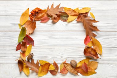 Düşen güzel yapraklardan yapılmış çerçeve ve hafif ahşap arka planda rowan üzümleri.