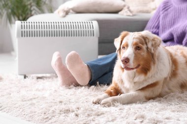 Avustralya çoban köpeği olan genç bir kadın ısıtıcının yanında yerde oturuyor.