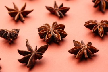 Renk arkaplanında aromatik yıldız anason bileşimi